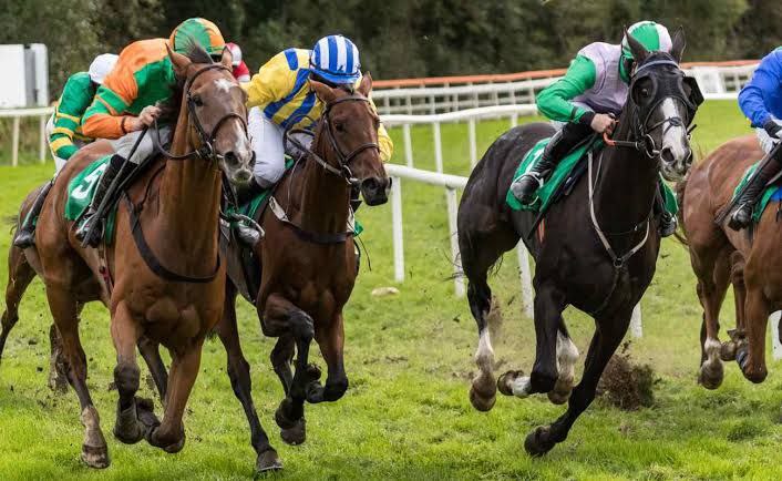 سود آورترین ورزش ها برای پیش بینی